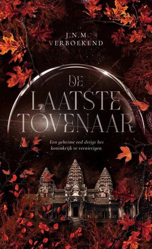 Omslag van koepels van macht 2 - De laatste tovenaar
