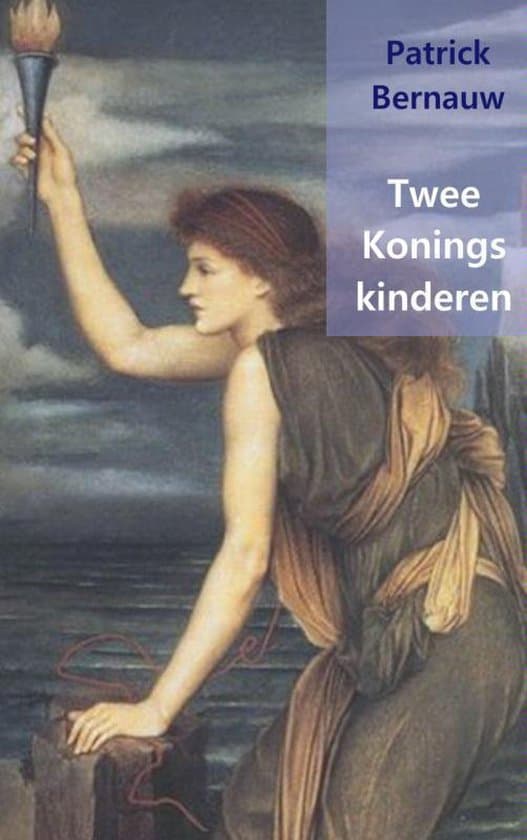 Omslag van Twee Koningskinderen