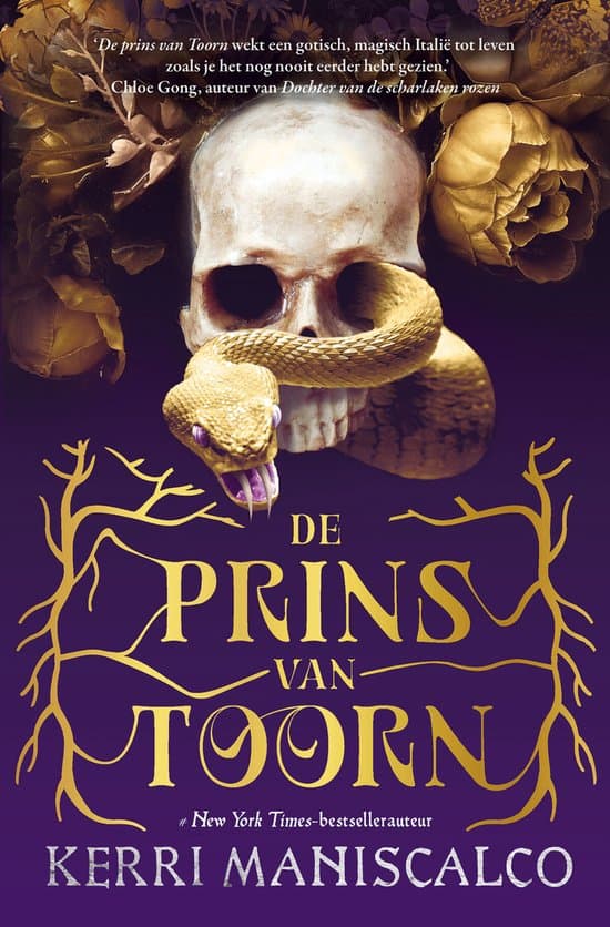 Omslag van Koninkrijk der zonden 1 - De prins van Toorn