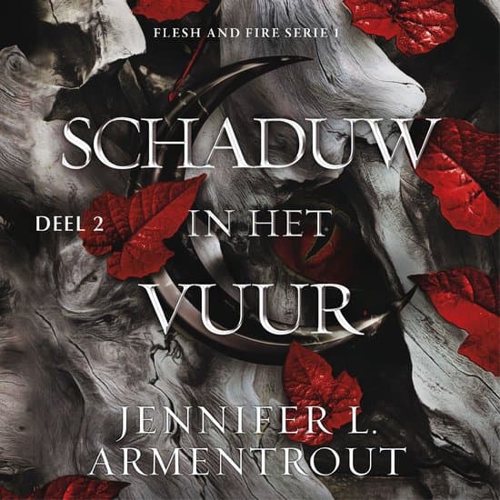 Omslag van Schaduw in het vuur 2