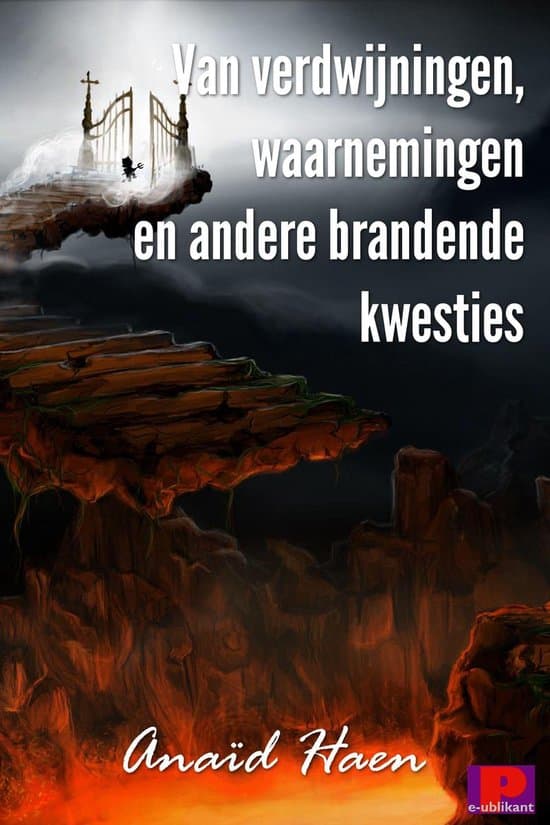 Omslag van Van verdwijningen, waarnemingen en andere brandende kwesties