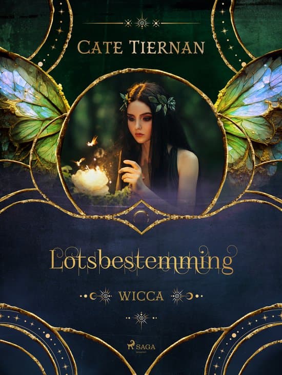 Omslag van Lotsbestemming