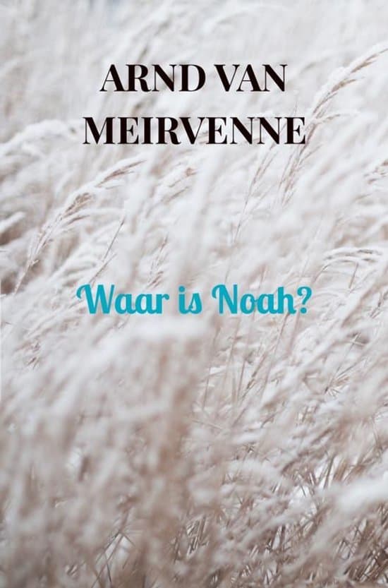 Omslag van Waar is Noah?