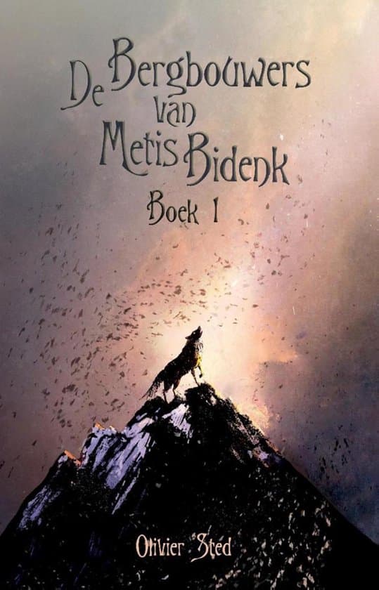 Omslag van De bergbouwers van Metis Bidenk