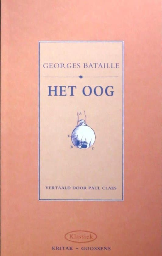 Omslag van Het oog
