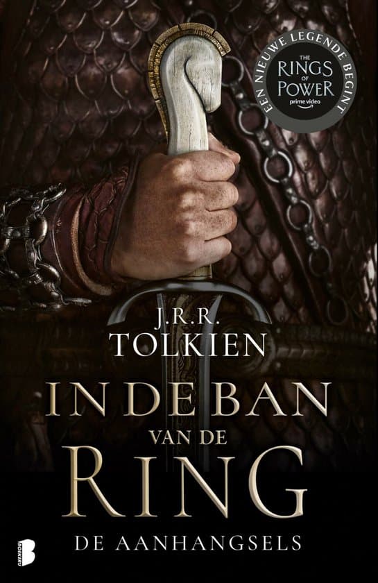 Omslag van In de ban van de ring - De aanhangsels