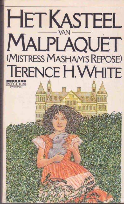 Omslag van Kasteel van malplaquet - Terence H. White