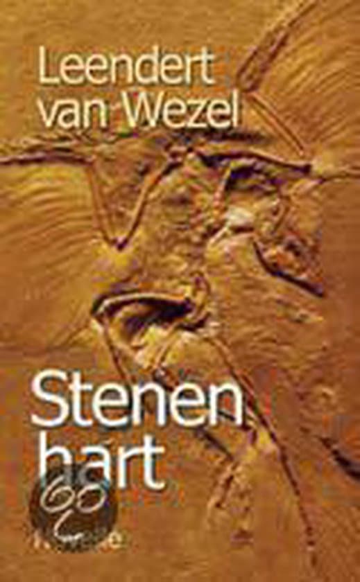 Omslag van Stenen Hart