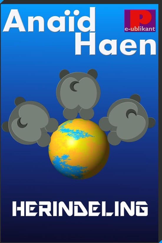 Omslag van Herindeling