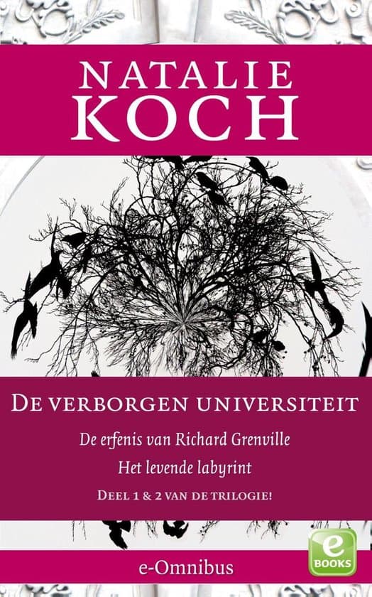 Omslag van De verborgen universiteit 1 + 2- De erfenis van Richard Grenville; Het levende labyrint