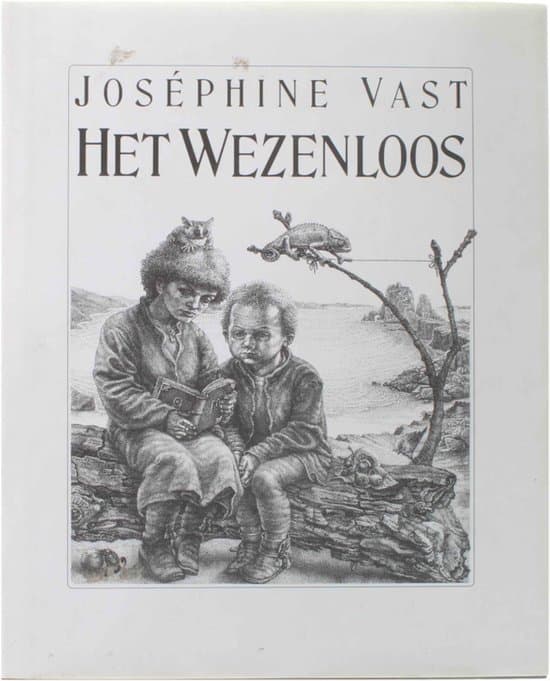 Omslag van Het wezenloos