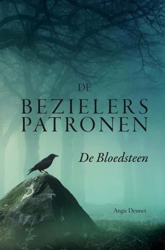 Omslag van De Bezielerspatronen