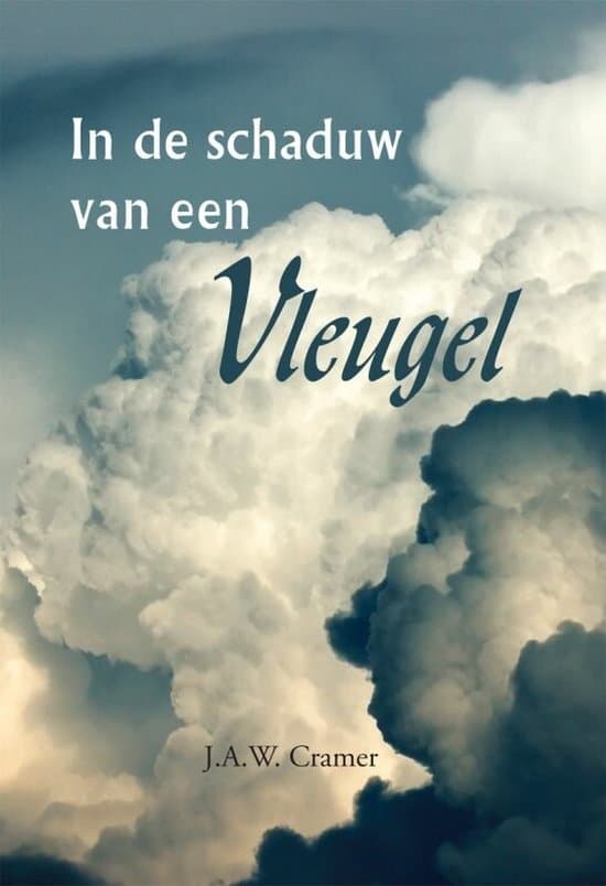 Omslag van In De Schaduw Van Een Vleugel