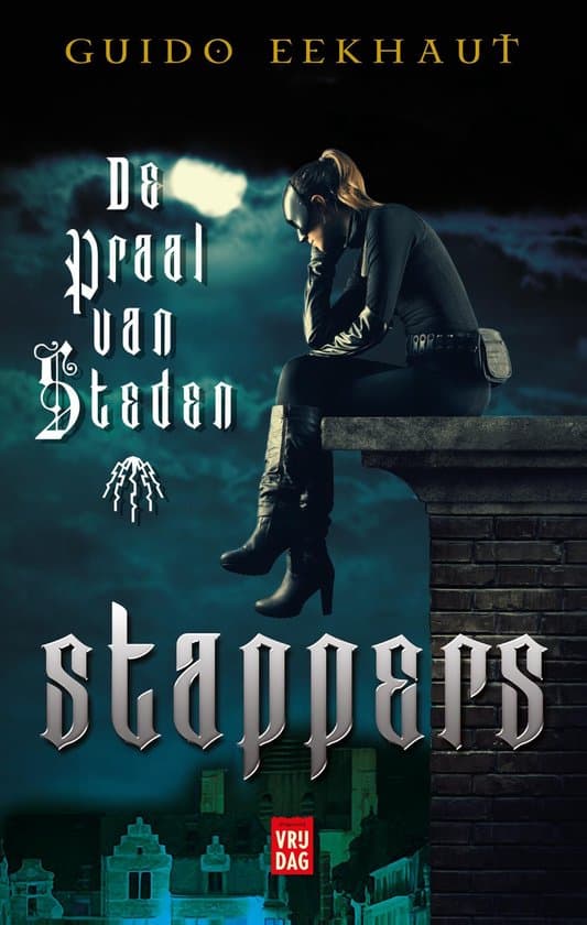 Omslag van De stappers