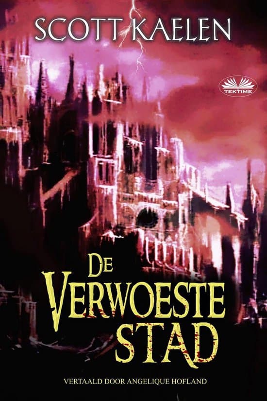 Omslag van De Verwoeste Stad