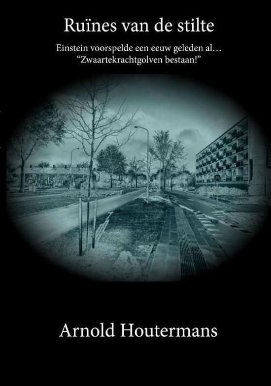 Omslag van Ruïnes van de stilte