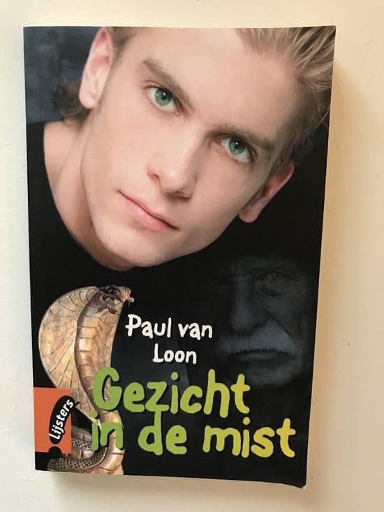 Omslag van Gezicht in de mist