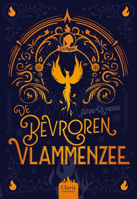 Omslag van De bevroren vlammenzee