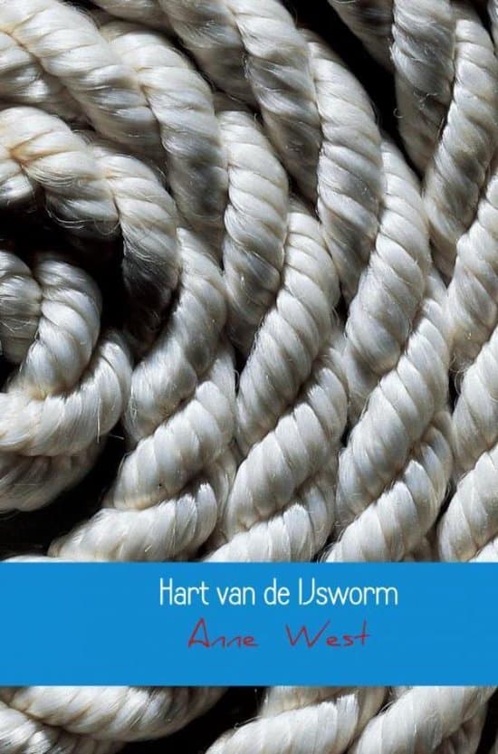Omslag van Hart van de IJsworm